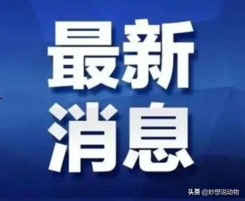 广西事件爆料最新消息今天,真相揭晓，多方势力介入调查