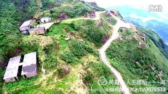 阳西新圩最新爆料,揭秘神秘项目，未来潜力无限