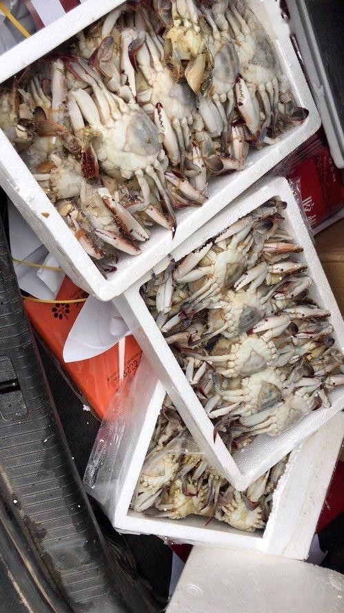 郑先生最新爆料,揭秘娱乐圈最新内幕